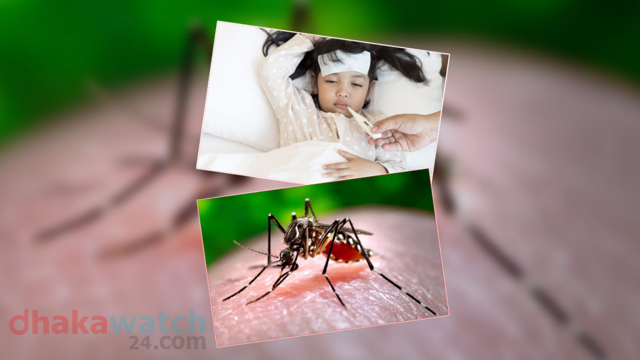 ২৪ ঘণ্টায় ডেঙ্গুতে ৩ জনের মৃত্যু, হাসপাতালে ভর্তি ৪১২